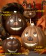 Indulge in That Favorite Treat of Halloween Ghosts and Goblins With Her Find Chocolate! App, Says Ecole Chocolat Founder